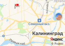 Поле гимназии №1
