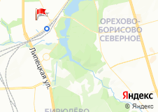 Поле ГОУ СОШ №501
