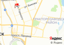 большое поле лицея 102