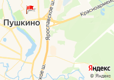 ДС "Пушкино"