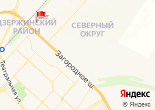 Дикие Гуси